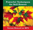 MP3 Powerful Techniques