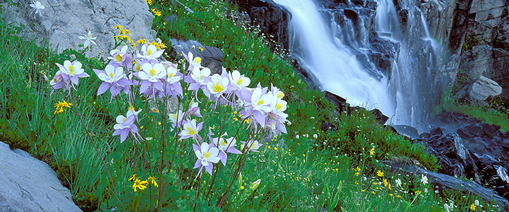 Columbine Waterfalls